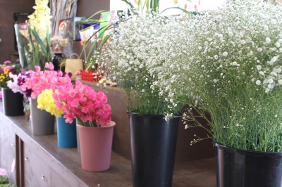 切花 お墓参り 安い いわき市 小名浜の花屋 花国湘南台店