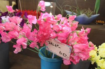 切花 お墓参り 安い いわき市 小名浜の花屋 花国湘南台店