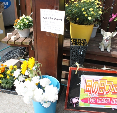 震災 白のカーネーション お供えのお花 いわき市 お花の花屋 花国湘南台店