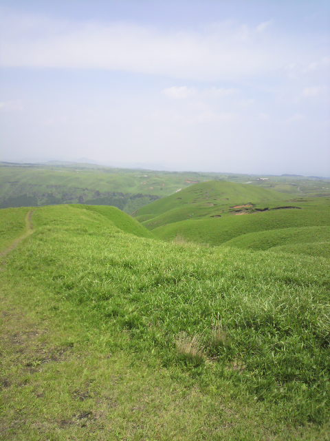 P1000442.jpg