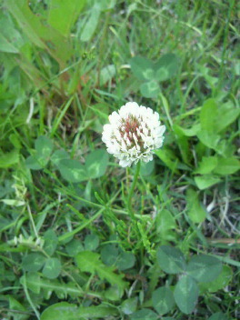 2011051017470000.jpg