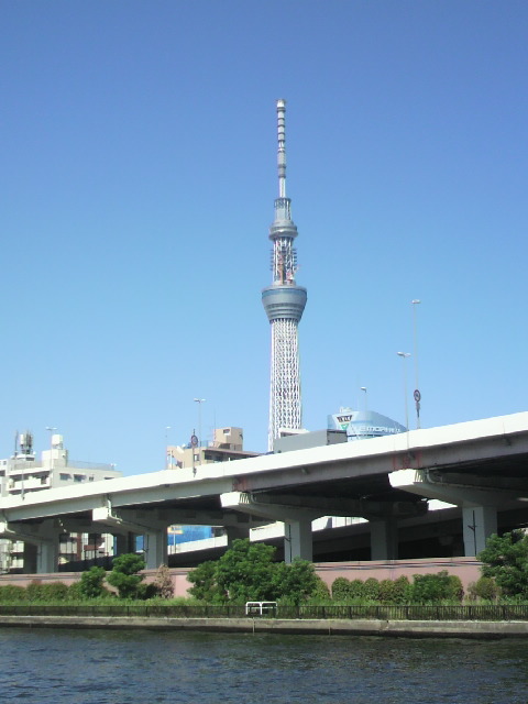 P1000595.jpg