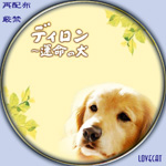 ディロン〜運命の犬-汎用