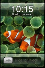 iPhone