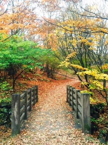 上ノ山公園