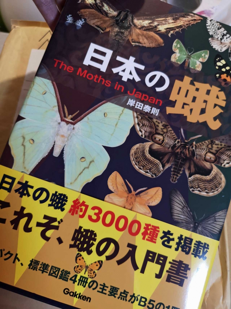 日本の珍しい蛾 日本の蛾 : 岸田泰則: Japanese Books 大きな蛾 日本