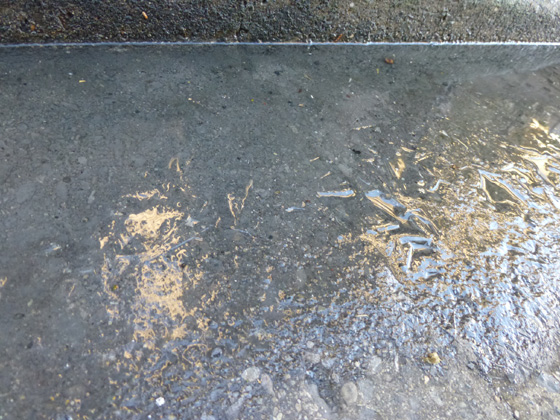 20130216_01.jpg