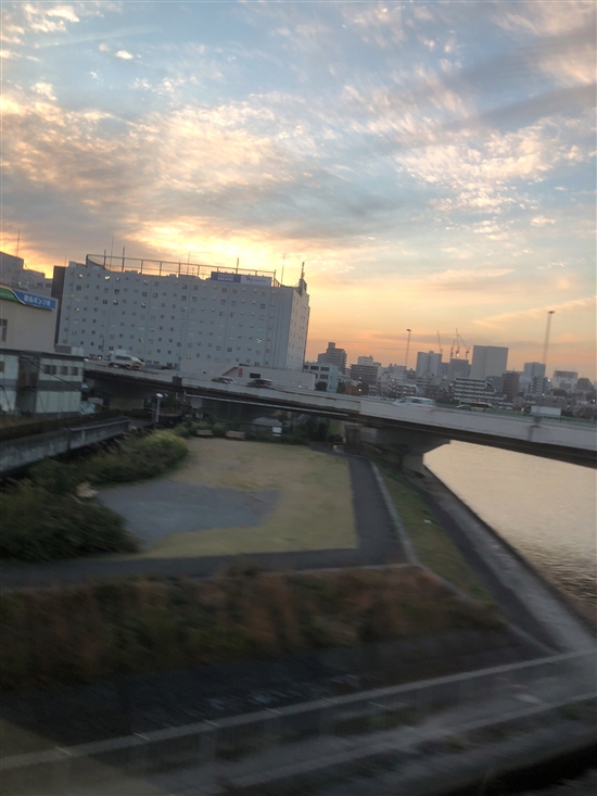 IMG_3567.jpg