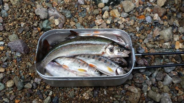 rps20130715_120642_914.jpg