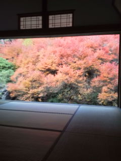 20131118112022.jpg