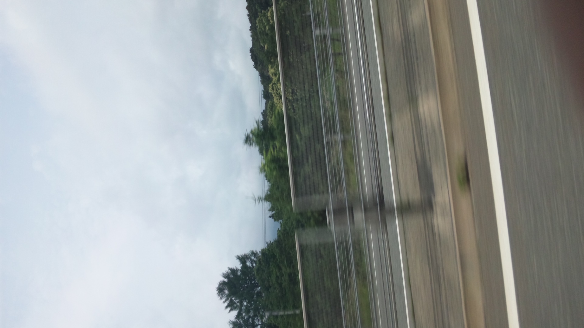 SH3I0164.jpg