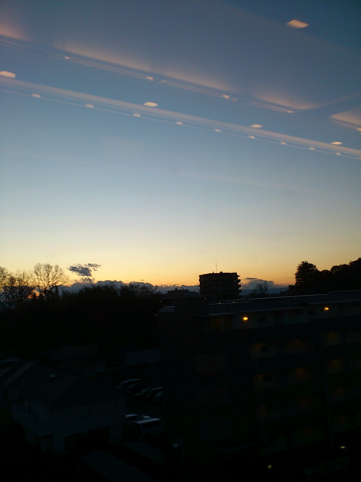 20120312_1953343.jpg