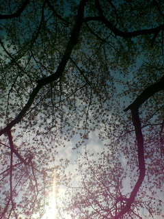 D1000205.jpg