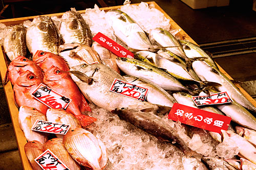 金沢:近江町魚市場の魚たち
