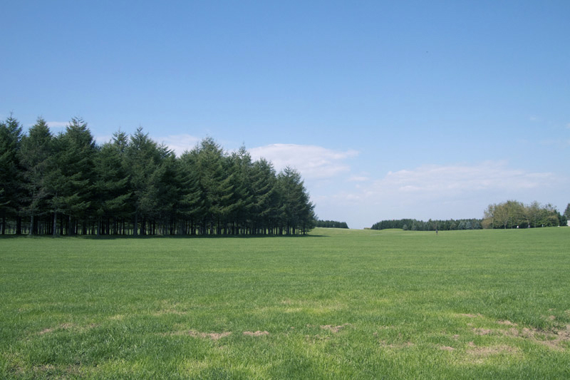 モエレ沼公園