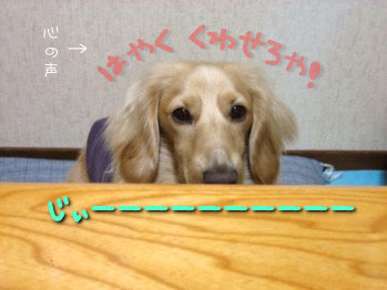 じぃーーーーーーーーーー