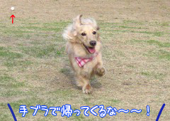 手ブラかよっ!
