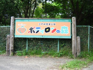 ポティロンの森