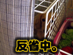 禁固刑にて