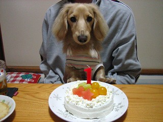 ケーキ ガン見。