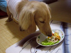 まずはプレートね^^