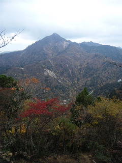 121103_140217.jpg