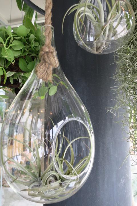 ハンギングテラリウム | midas