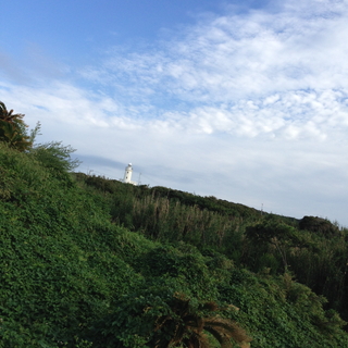 IMG_3575.jpg
