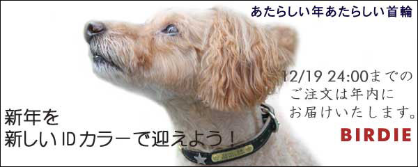 BIRDIE迷子防止首輪