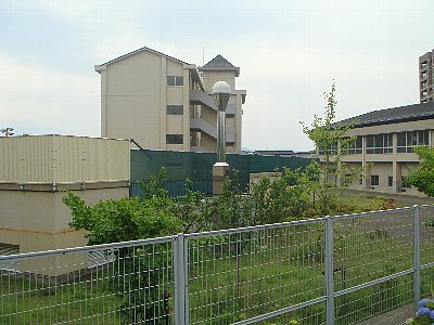 DSC09376.JPG