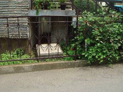 DSC09482.jpg
