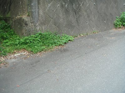 DSC02104.JPG