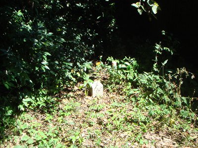 DSC02437.JPG