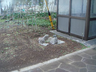DSC02954.JPG