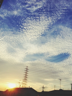 iPhoneImage.png