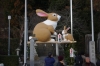 うさぎ