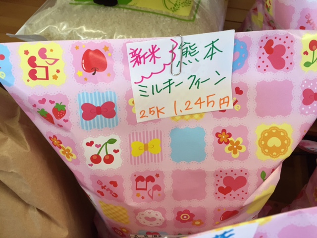 image1.JPG