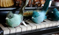 青い鳥とピアノ