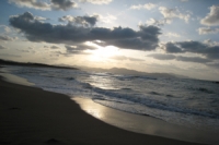 海
