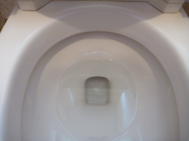 P1000433.JPG