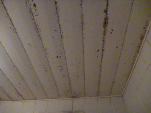P1010474.JPG
