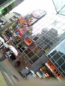 100523_092513_ed.jpg