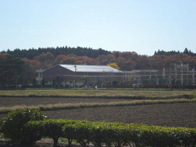 近くの小学校 高久小学校