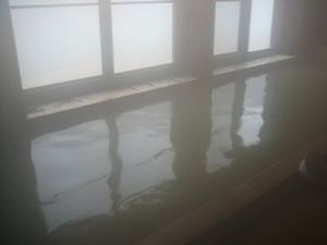 つるの湯 内湯