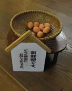 新鮮卵