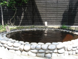 露天