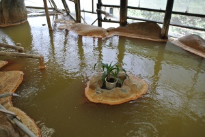 テイエム牧場温泉