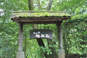 入口