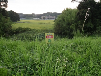 まむし看板2