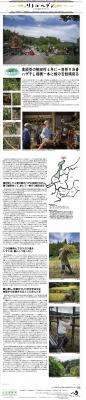 LittleHeaven31号虫の声